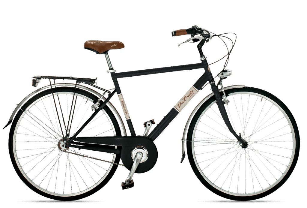 Allure Man Bicicletta Uomo da Città Single Speed o 6V