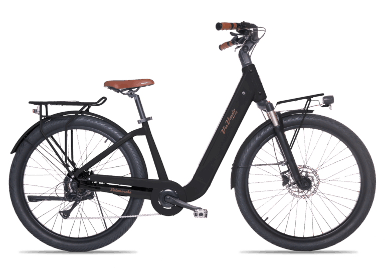 Amata Plus E-bike Lady: E-bike Donna 27.5”